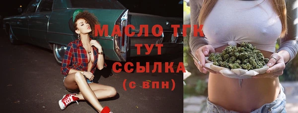 индика Коряжма