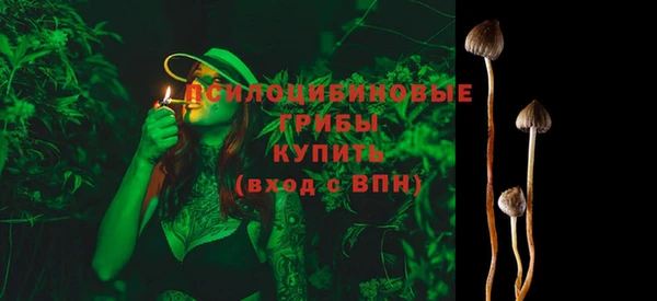 a pvp Костерёво