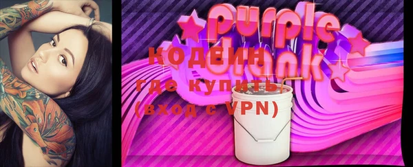 индика Коряжма