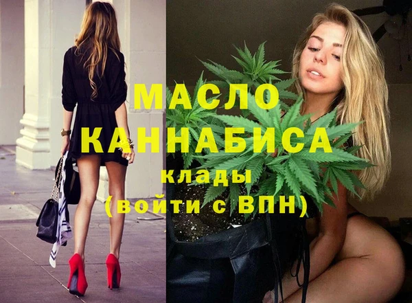 индика Коряжма