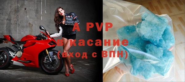 стафф Новосибирск