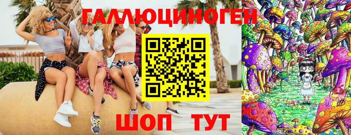 Галлюциногенные грибы Psilocybe  Вход с VPN  купить   Галлюциногенные грибы Cubensis  Петропавловск-Камчатский 